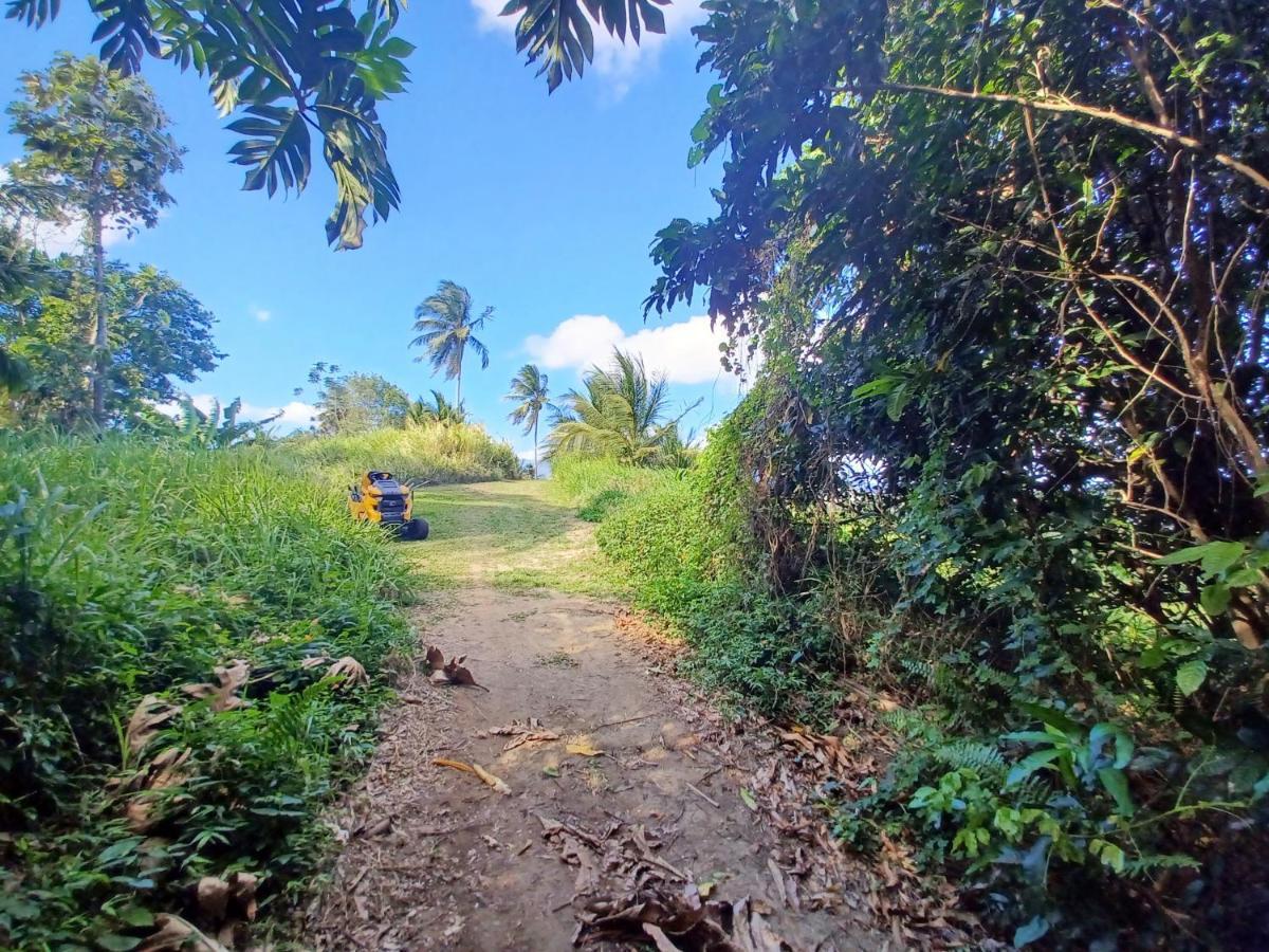 Jubilee Campsite Swim & Paint Las Piedras ภายนอก รูปภาพ