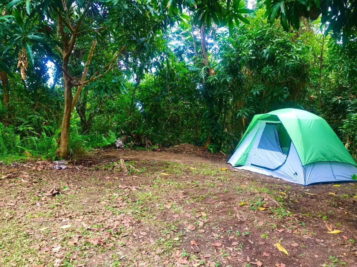 Jubilee Campsite Swim & Paint Las Piedras ภายนอก รูปภาพ